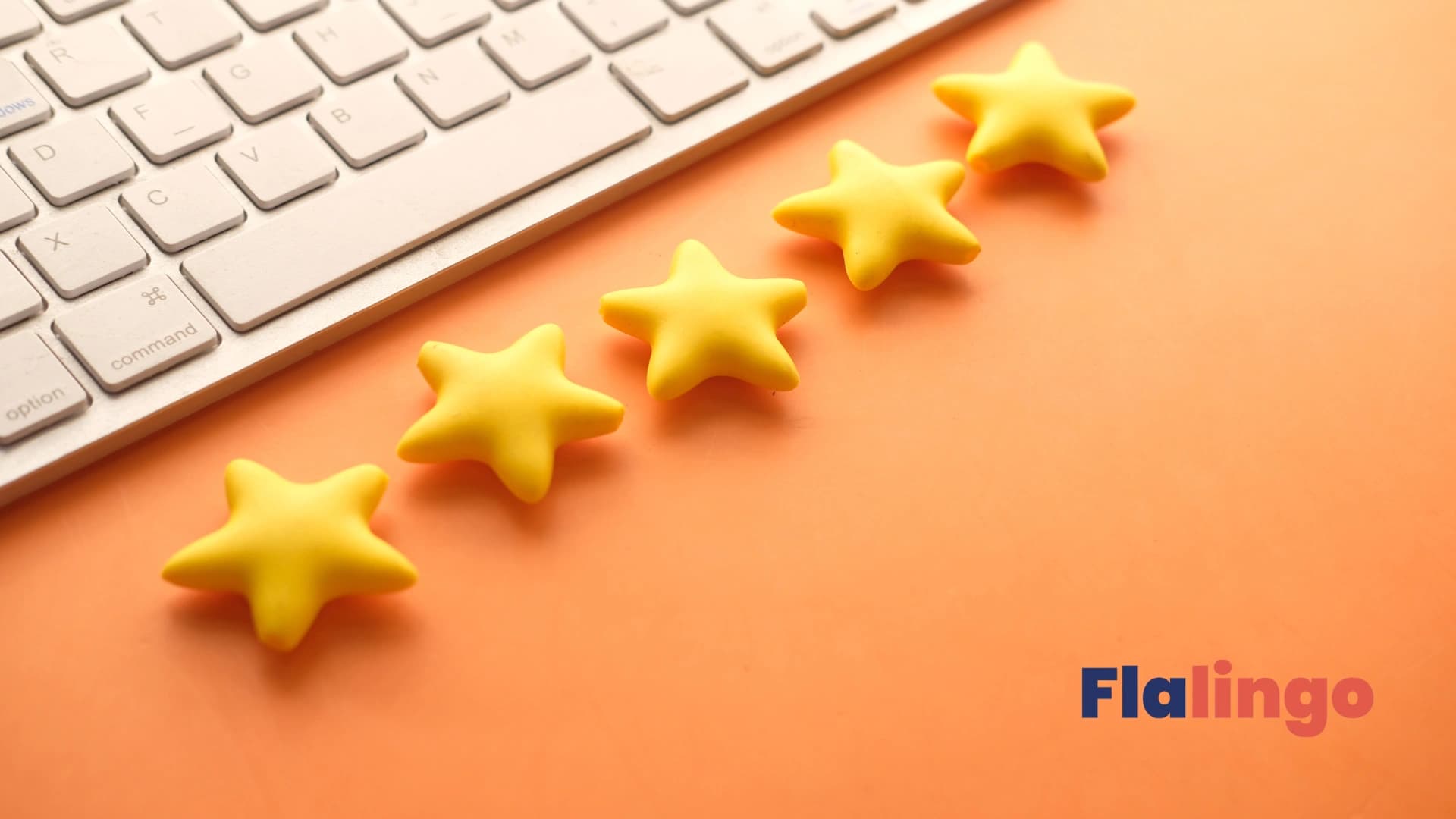 Flalingo Reviews and Facts: My Own Experiences with Flalingo