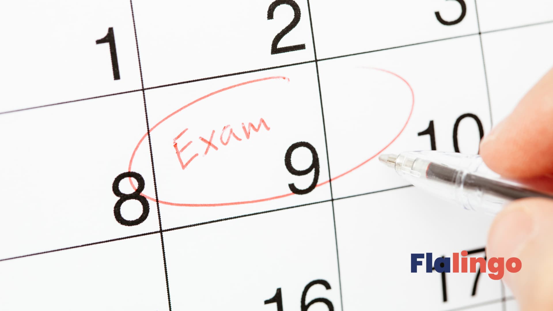 Flalingo ile Sınavlara Hazırlık: IELTS Nedir? Nasıl Hazırlanılır?