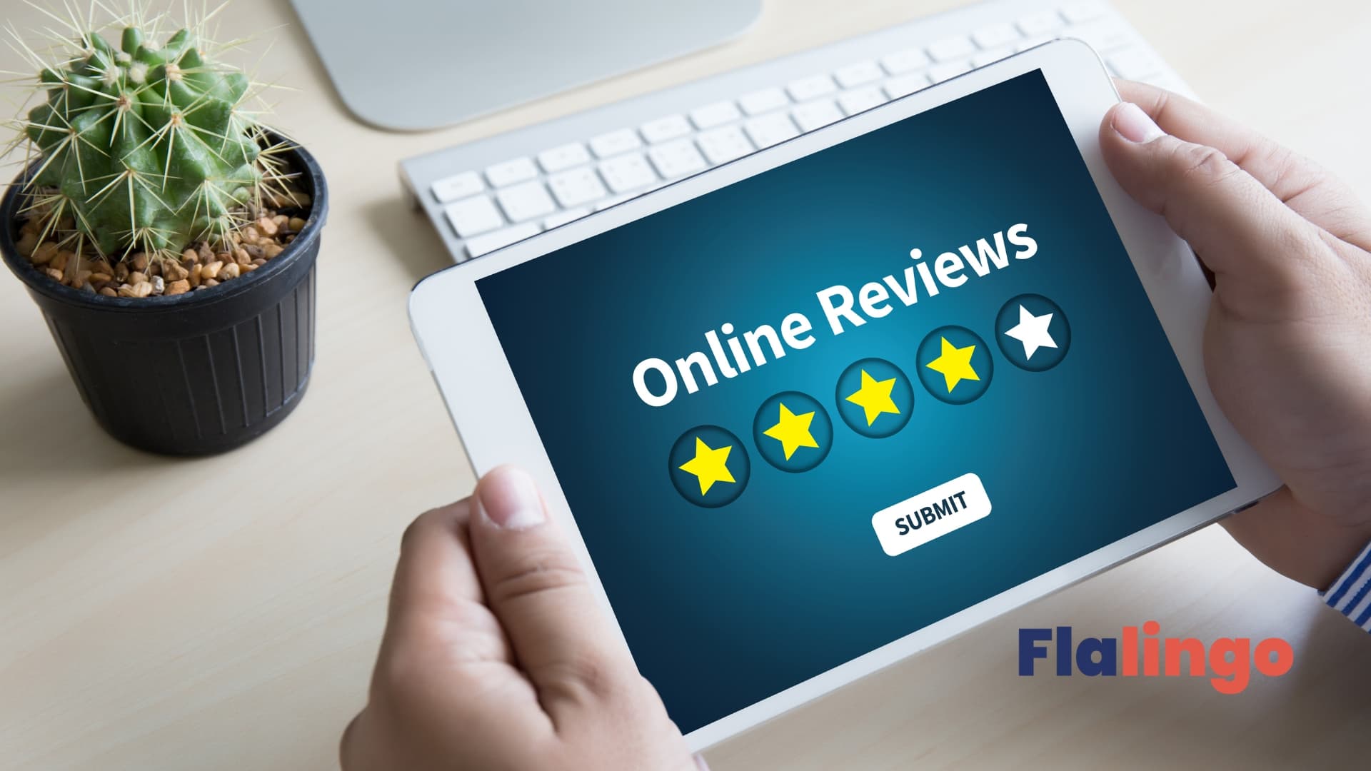 Flalingo Review: AI-Powered Online English Education