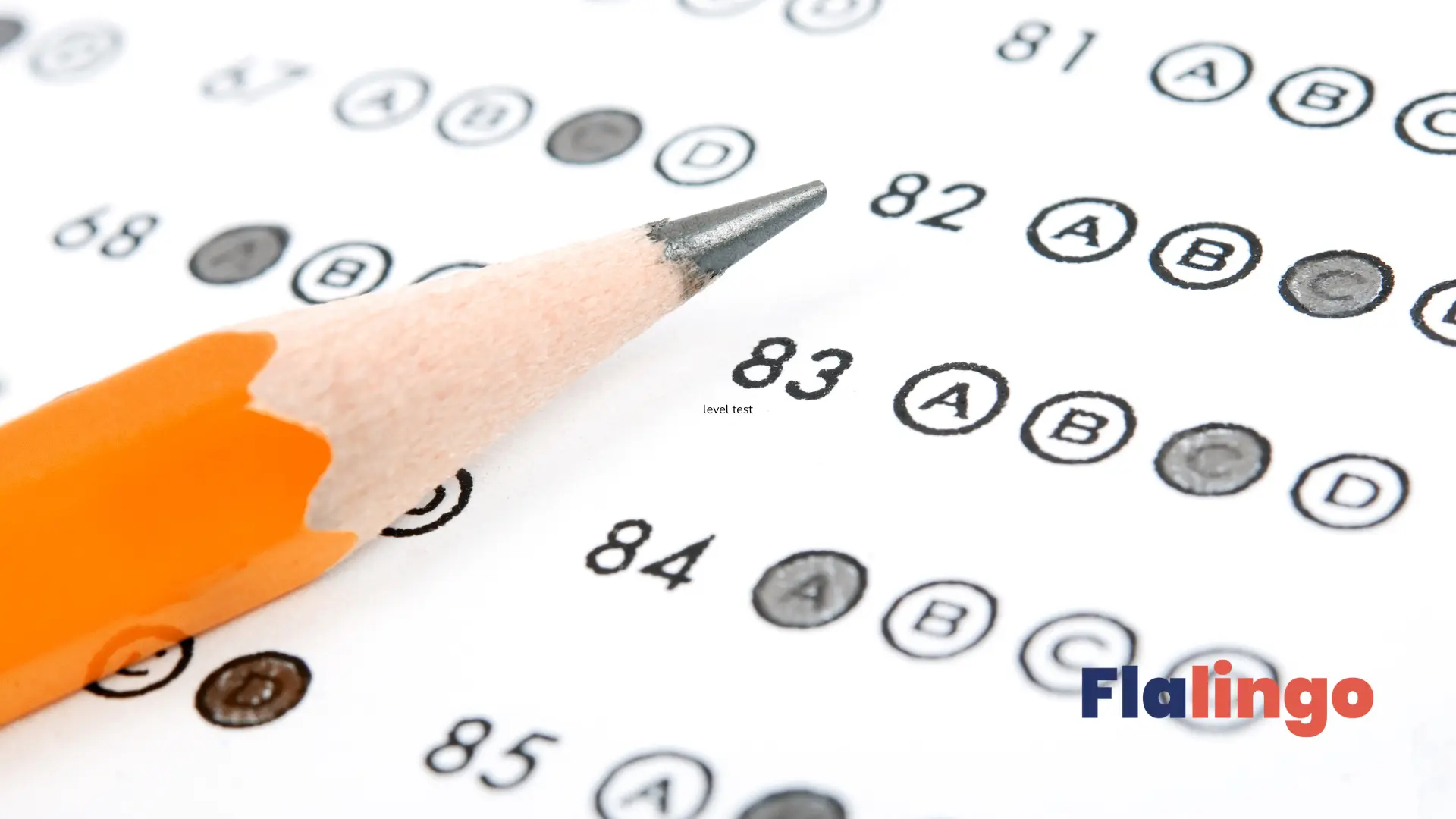 IELTS Seviyeni Ücretsiz Ölç: 4 Beceride Gerçek Simülasyon Deneyimi